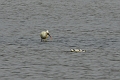 25 01 15_1241_edited-3